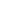 visa icon